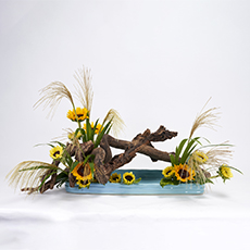 小原流台北支部 2025 會員大會 展示作品