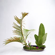 小原流台北支部 2025 會員大會 展示作品