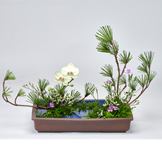 小原流插花