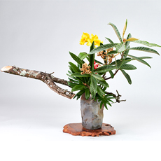 小原流插花