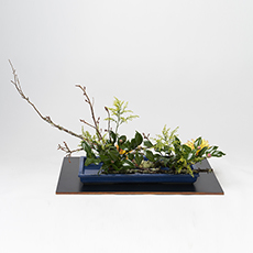 小原流台北支部20221127會員大會展示作品