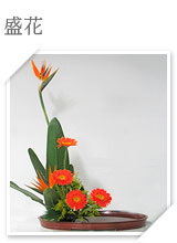 盛花