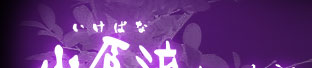 小原流插花台北支部
