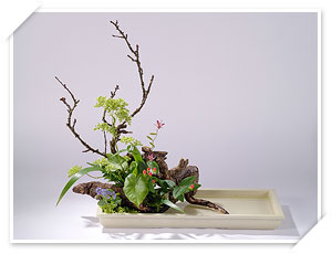 寫景盛花