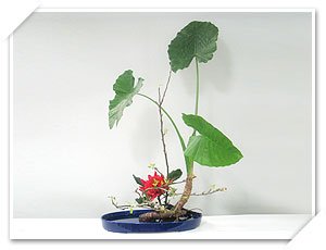 文人花花型